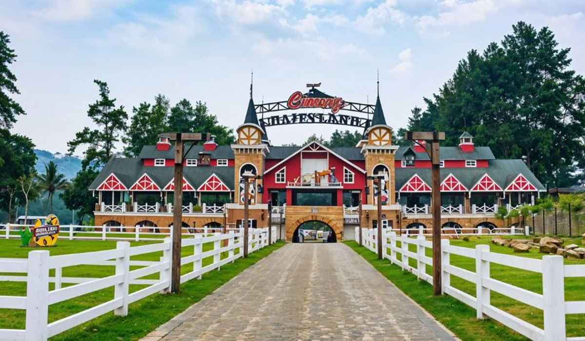 FAKTA MENGEJUTKAN! Cimory Mountain View Jadi Primadona Baru di Puncak, View-nya Bikin Terpukau